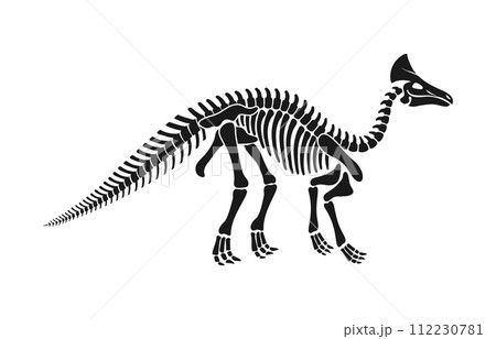 Isolated olorotitan dinosaur skeleton fossil, dino bones black vector silhouette. Rare find, revealing the distinct features of this herbivorous hadrosaurid creature from the late cretaceous period 112230781