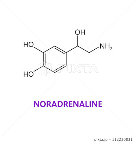 Neurotransmitter, Noradrenaline chemical formula and molecular structure, vector molecule. Norepinephrine or noradrenalin hormone and neurotransmitter in human body or nervous system neuromodulator 112230831