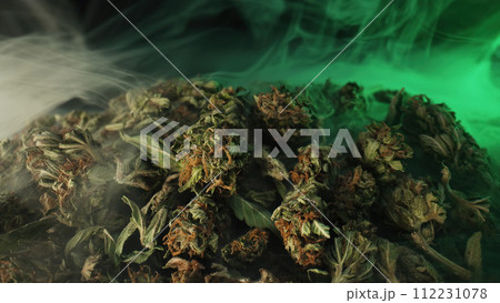 Legal medical cannabis, smoking weed activities, recreational drug. Hemp harvest Legal medical cannabis, smoking weed activities, recreational drug. Hemp harvest 112231078