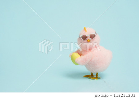 small cool chick in sunglasses with Easter egg on blue background, copy space 112231233