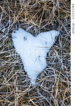 Heart of snow in the grass, Iceland 112231364