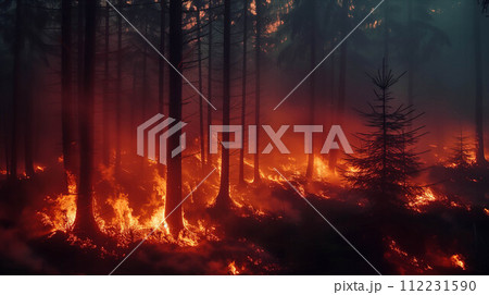 Forest fire during the night. 112231590