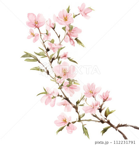 AI-generated content. Cherry blossom branch 112231791