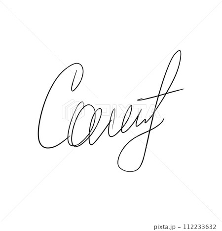 Fake autograph samples. Hand-drawn signatures, examples of documents 112233632