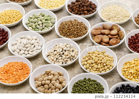 世界中の豆 世界中の豆 112234114