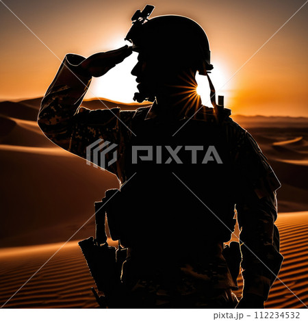 Silhouette Of A Soldier Saluting During Sunset 112234532