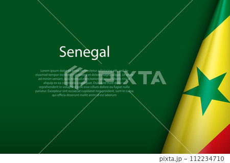Senegal national flag isolated on background with copyspace Senegal national flag isolated on background with copyspace 112234710