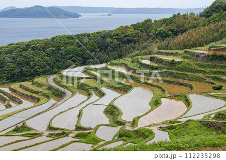 長崎県/ 九州屈指の絶景棚田 日本の原風景が見える水張り時期 新緑の土谷棚田 （どやたなだ） 112235298