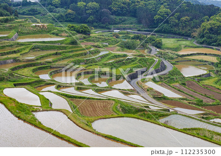 長崎県/ 九州屈指の絶景棚田 日本の原風景が見える水張り時期 新緑の土谷棚田 （どやたなだ） 112235300