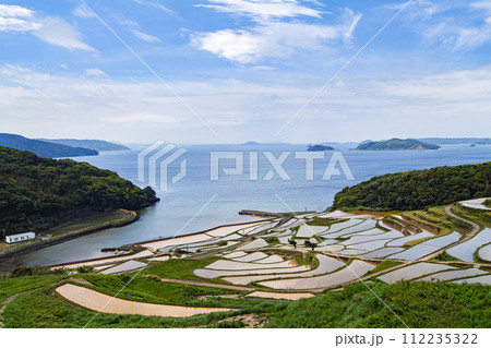 長崎県/ 九州屈指の絶景棚田 日本の原風景が見える水張り時期 新緑の土谷棚田 （どやたなだ） 112235322