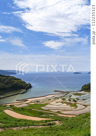 長崎県/ 九州屈指の絶景棚田 日本の原風景が見える水張り時期 新緑の土谷棚田 （どやたなだ） 112235323