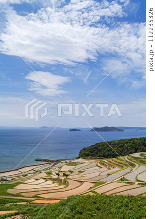 長崎県/ 九州屈指の絶景棚田 日本の原風景が見える水張り時期 新緑の土谷棚田 （どやたなだ） 112235326