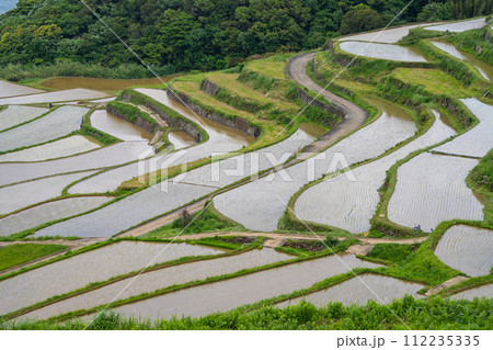 長崎県/ 九州屈指の絶景棚田 日本の原風景が見える水張り時期 新緑の土谷棚田 （どやたなだ） 112235335