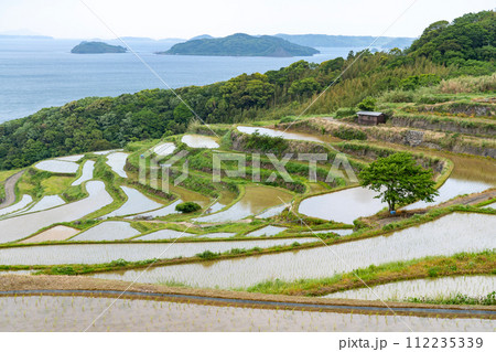 長崎県/ 九州屈指の絶景棚田 日本の原風景が見える水張り時期 新緑の土谷棚田 （どやたなだ） 112235339