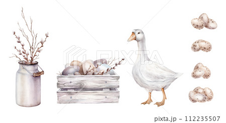 Easter set of quail and chicken eggs. Watercolor hand drawn painting illustration isolated on a white background. Set of pastel color eggs in wooden board illustrations. bouquet of willow in metal can Easter set of quail and chicken eggs. Watercolor hand drawn painting illustration isolated on a white background. Set of pastel color eggs in wooden board illustrations. bouquet of willow in metal can 112235507
