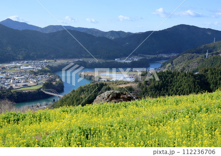 天空の菜の花畑　小雪降る　（高知県　香美市　香北町） 112236706