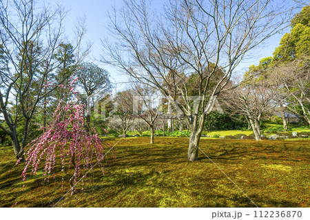 城南宮 平安の庭(京都市) 城南宮 平安の庭(京都市) 112236870