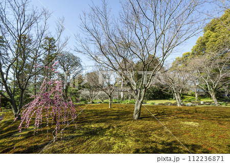 城南宮 平安の庭(京都市) 城南宮 平安の庭(京都市) 112236871