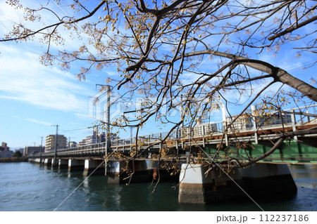 ハゼの実と多々良川橋梁と青空 112237186