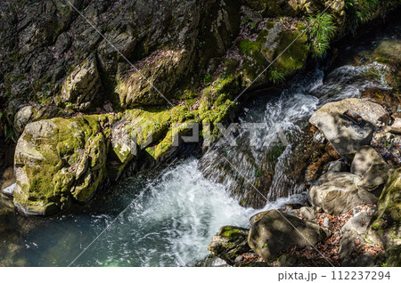 京都府宇治市の渓流　志津川　宇治川支流 112237294