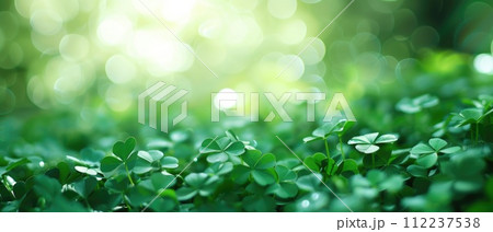 Shamrock background sun lights on bokeh. St. Patrick's Day background with green clover 112237538