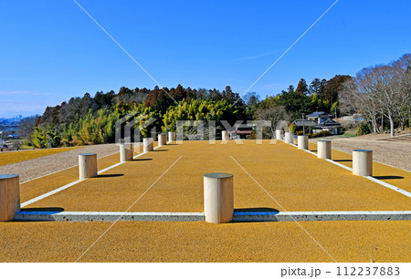 宮城県 多賀城 城前官衙 中央広場北側の土間の建物跡 宮城県 多賀城 城前官衙 中央広場北側の土間の建物跡 112237883