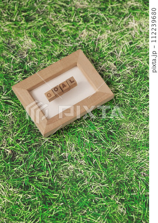 GOALのミニフレーム GOALのミニフレーム 112239680