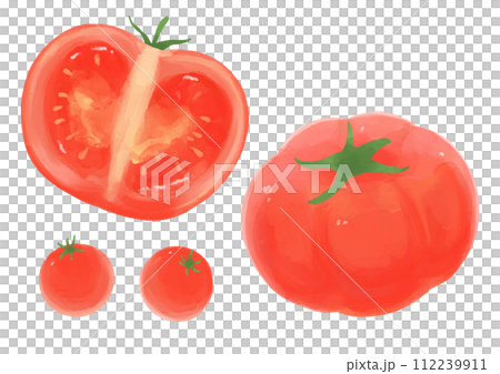 [Watercolor style] Tomato set 112239911