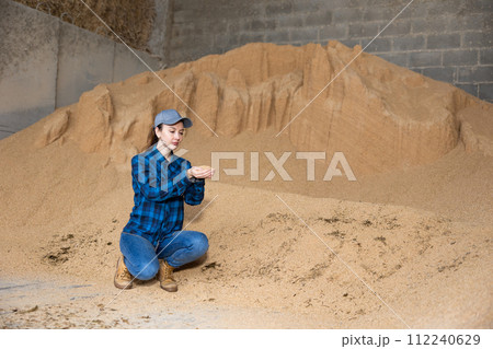 Woman farmer checking quality of soybean husk Woman farmer checking quality of soybean husk 112240629