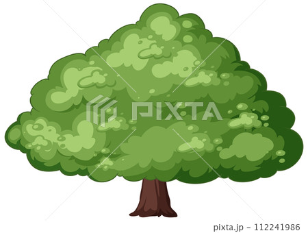 Lush Green Tree Vector Illustration 112241986