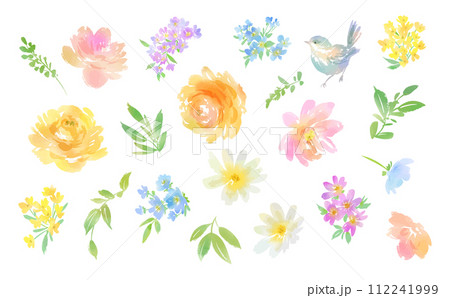 水彩風のバラや植物と鳥のベクターイラストセット 112241999