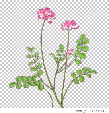 春の野に咲くれんげの花　手描きタッチイラスト 112244019