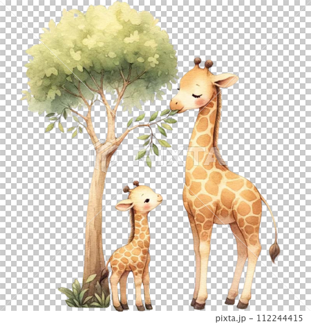 A mother giraffe teaching the calf to eat leaves from a tall tree watercolor clipart.Ai Generate A mother giraffe teaching the calf to eat leaves from a tall tree watercolor clipart.Ai Generate 112244415