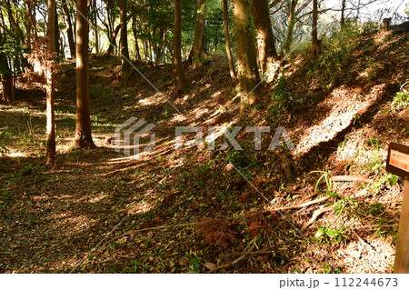 守谷城08　二の丸土塁 112244673