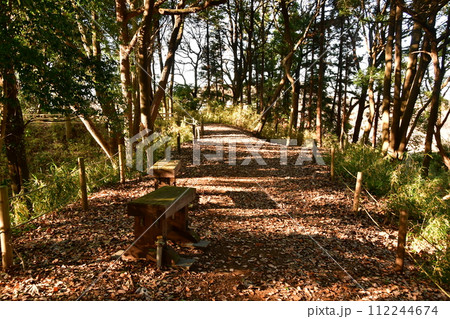 守谷城09 二の丸土塁 守谷城09 二の丸土塁 112244674