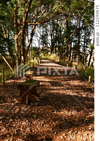 守谷城10　楯型曲輪 112244675