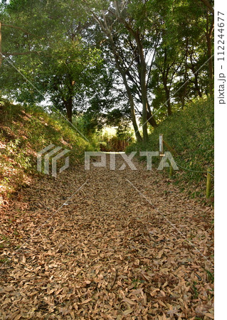 守谷城12 本丸土塁、楯型曲輪土塁、空堀 守谷城12 本丸土塁、楯型曲輪土塁、空堀 112244677