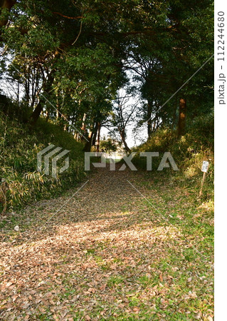 守谷城14　楯型曲輪土塁、本丸土塁、空堀 112244680