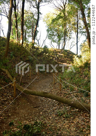 守谷城20 御馬家台土塁、二の丸土塁、空堀 守谷城20 御馬家台土塁、二の丸土塁、空堀 112244687