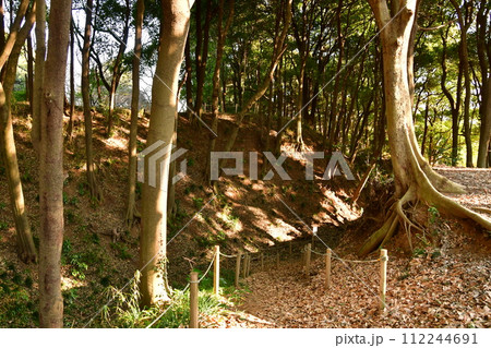 守谷城23　二の丸土塁、空堀 112244691