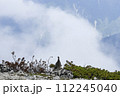 北アルプスにやってきた雷鳥 112245040