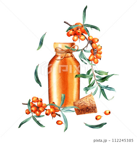 Composition with sea buckthorn and open glass oil bottle, jar with cork and decorative rope jute string. Hand drawn watercolor illustration isolated on white. For clip art template label Composition with sea buckthorn and open glass oil bottle, jar with cork and decorative rope jute string. Hand drawn watercolor illustration isolated on white. For clip art template label 112245385