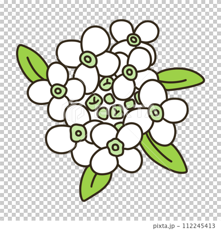 甜alicantum 甜alicantum 112245413