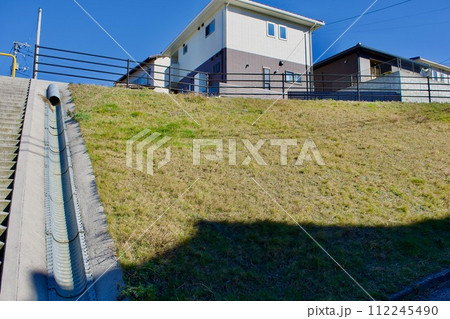 住宅地法面の草 112245490