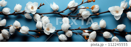 Branch with white fluffy cotton flowers on a blue background. Cozy winter banner Branch with white fluffy cotton flowers on a blue background. Cozy winter banner 112245555