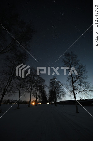 冬の夜に白樺並木から見上げた星空-4 112245760
