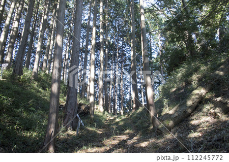 葛山城 五号堀 葛山城 五号堀 112245772