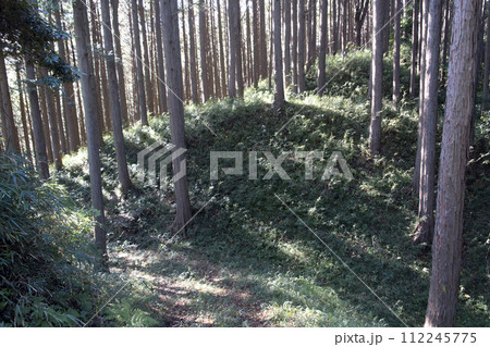 葛山城　西の連続掘切 112245775