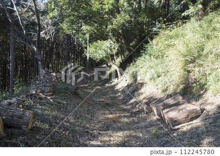 葛山城跡に残る空堀 葛山城跡に残る空堀 112245780