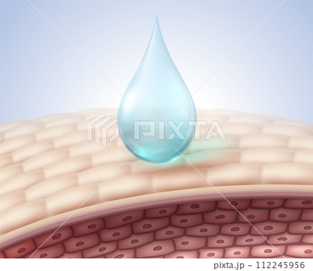 Cosmetic serum oil floats on skin cells. Moisturizes the skin with collagen molecules. realistic vector illustration. 112245956